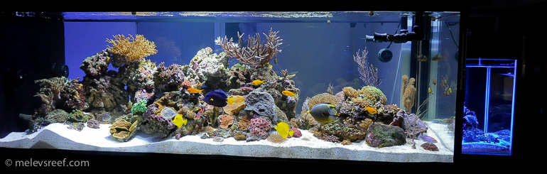 Name:  fts-10K.jpg
Views: 475
Size:  130.8 KB