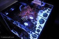 Click image for larger version

Name:	60g-topdown.jpg
Views:	381
Size:	228.4 KB
ID:	9244