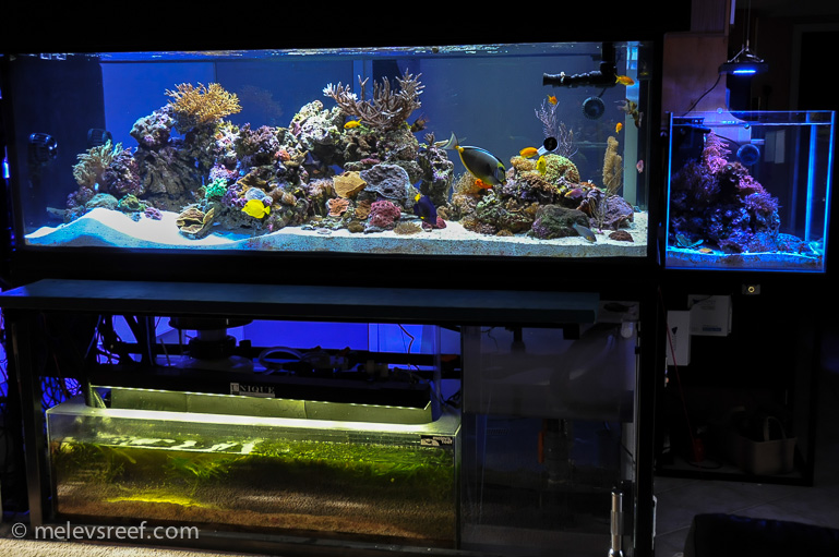 Name:  400g-day60-fts.jpg
Views: 1773
Size:  217.7 KB