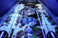 Click image for larger version

Name:	400g-topdown.jpg
Views:	354
Size:	108.0 KB
ID:	9247