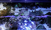 Click image for larger version

Name:	center-topdown-view.jpg
Views:	322
Size:	286.3 KB
ID:	9253