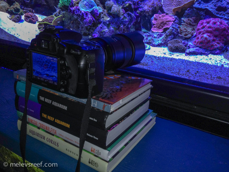 Name:  camera-on-books-3.jpg
Views: 498
Size:  265.5 KB