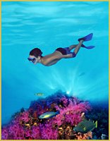 Click image for larger version

Name:	underwater-boy-.jpg
Views:	3016
Size:	17.3 KB
ID:	936