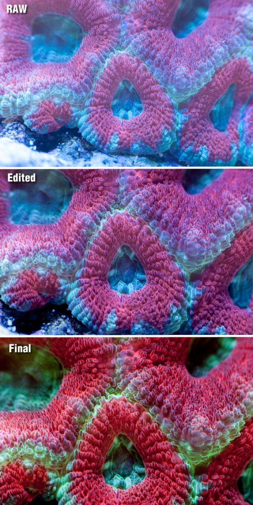 Name:  image-transition.jpg
Views: 442
Size:  166.0 KB