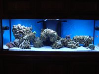 Click image for larger version

Name:	167.jpg
Views:	1441
Size:	111.7 KB
ID:	9462