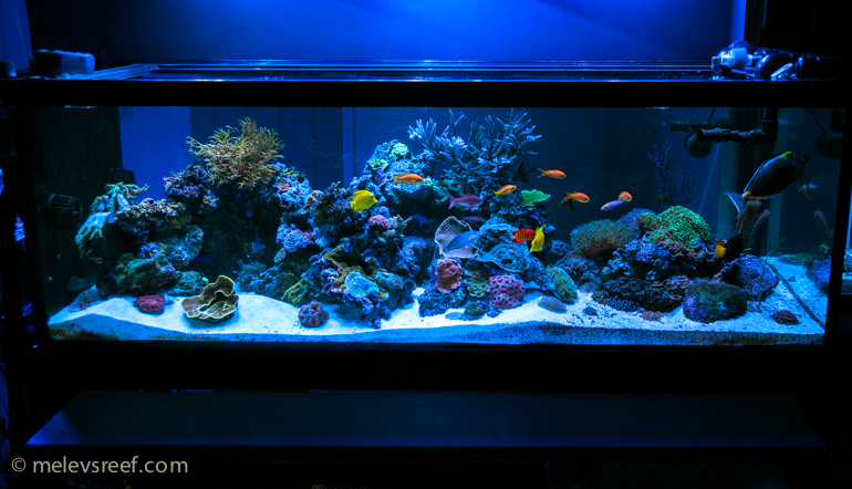 Name:  day91-fts-4.jpg
Views: 2027
Size:  267.9 KB