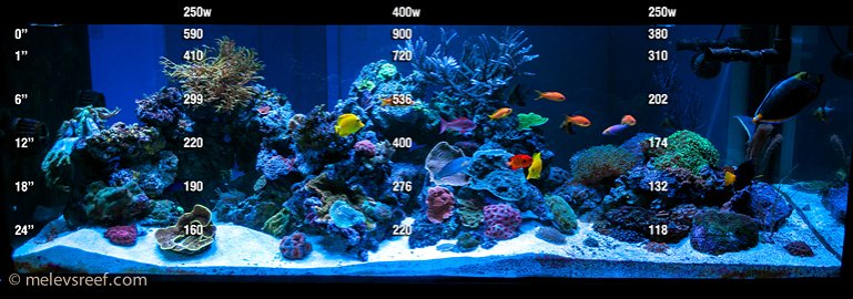 Name:  FTS-20K-PAR-ra.jpg
Views: 3063
Size:  68.9 KB