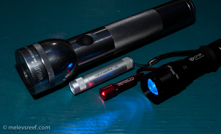 Name:  flashlights.jpg
Views: 1119
Size:  133.1 KB