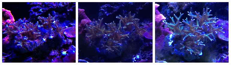 Name:  pic_8.jpg
Views: 795
Size:  92.0 KB