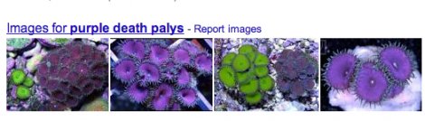 Name:  Screen Shot 2014-02-16 at 11.25.15 PM.jpg
Views: 1387
Size:  20.0 KB