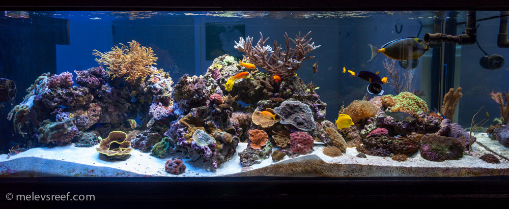 Name:  fts-022314.jpg
Views: 4147
Size:  263.3 KB