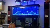 Click image for larger version

Name:	2010-09-21_20-38-02_646.jpg
Views:	1453
Size:	90.5 KB
ID:	9753