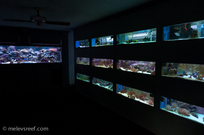 Name:  cc-livestock-tanks-2.jpg
Views: 811
Size:  145.6 KB