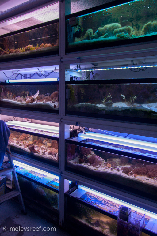 Name:  cc-livestock-tanks.jpg
Views: 804
Size:  241.2 KB