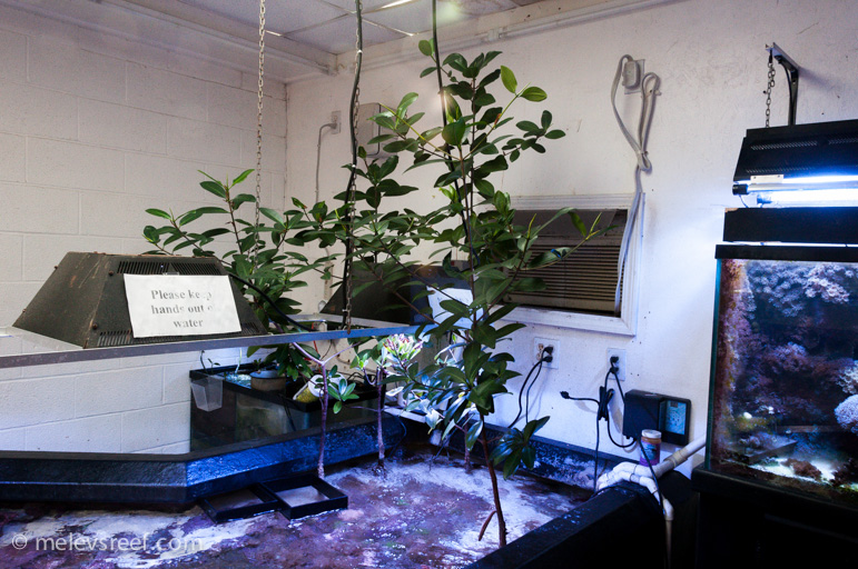Name:  cc-sunroom-2.jpg
Views: 814
Size:  249.3 KB