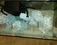 Click image for larger version

Name:	14.jpg
Views:	475
Size:	96.4 KB
ID:	978