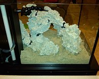 Click image for larger version

Name:	9.jpg
Views:	486
Size:	92.4 KB
ID:	982