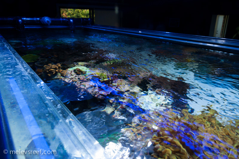 Name:  surface-area-angle.jpg
Views: 573
Size:  270.0 KB