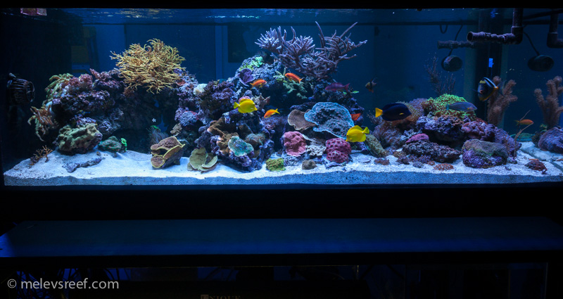 Name:  day180-fts-sml.jpg
Views: 1604
Size:  182.9 KB