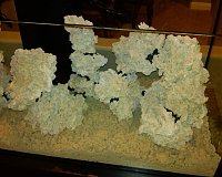 Click image for larger version

Name:	11.jpg
Views:	453
Size:	94.8 KB
ID:	989