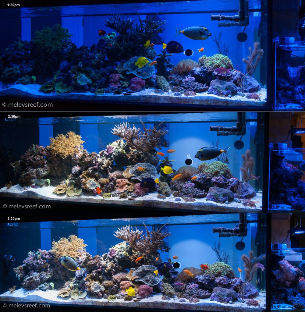 Name:  fts-lighting-ramp-up.jpg
Views: 14992
Size:  252.9 KB