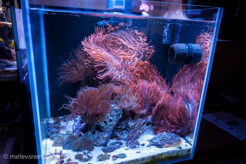 Name:  fts-60g-62714.jpg
Views: 600
Size:  102.8 KB