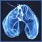 ctenophore's Avatar