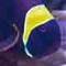 ReddingReef's Avatar