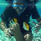 snorkeler's Avatar