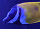 jjjak3108's Avatar